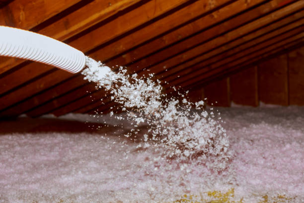 Best Spray Foam Insulation  in East Kapolei, HI