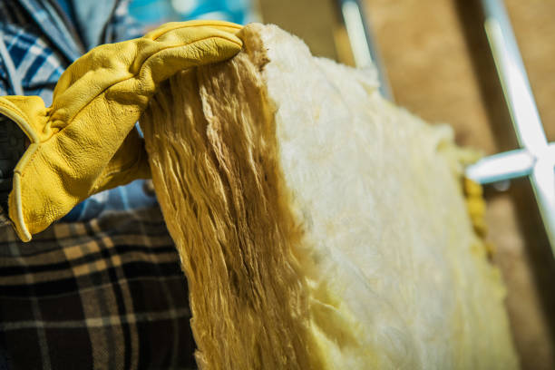 Best Home Insulation Services  in East Kapolei, HI