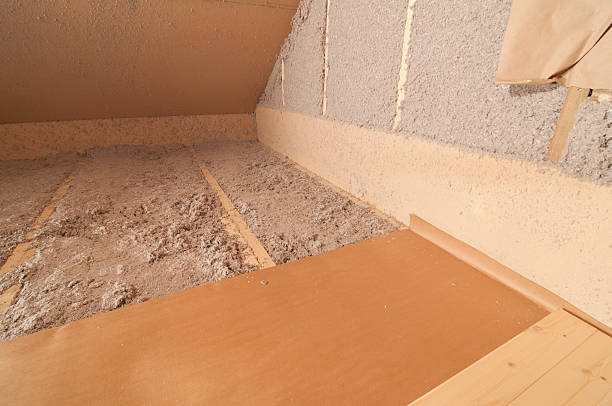 Best Insulation Removal  in East Kapolei, HI