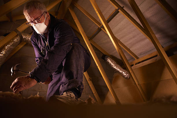 Best Affordable Insulation Services  in East Kapolei, HI